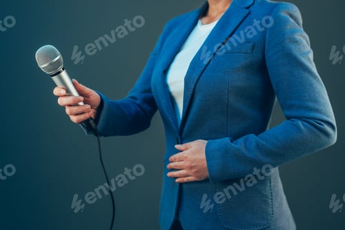 Preview: Elegant female journalist conducting business interview