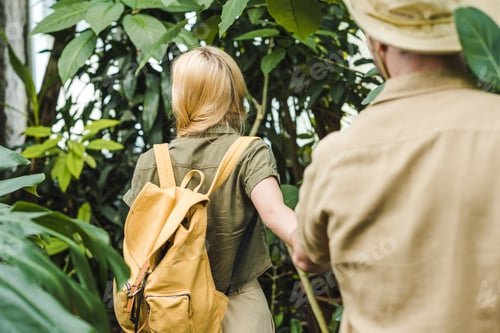 Preview: rear view of young couple in safari suits holding hands and walking by in jungle