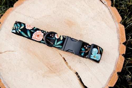 Preview: Dog Collar and Leash set. Pet Supplies and Walking Gear Collection