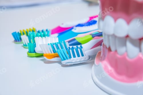 Preview: Dental model with toothbrush.whitening. tooth care. teeth healthy concept.various types of
