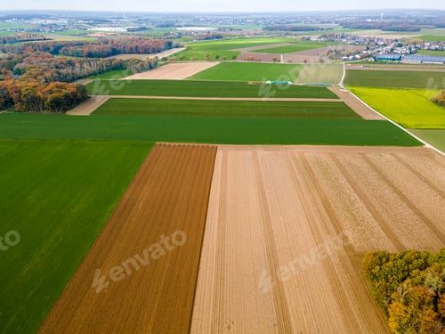 Preview: Panorama over healthy green crops in patchwork pasture farmland