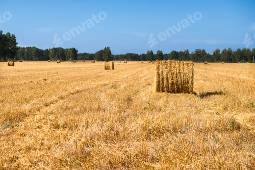 Preview: Large Piles of Hay Bales
