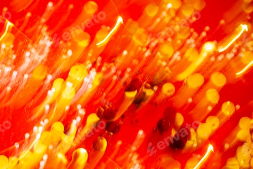 Preview: efocused Red and orange holiday bokeh.