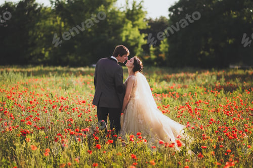 Preview: Newlyweds walking in amazing blossoming flowers field. Scope and panoramic views around