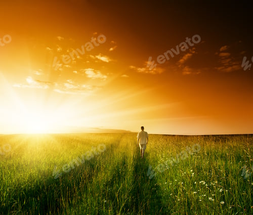 Preview: One Man And Field Of Summer Grass And Sunset