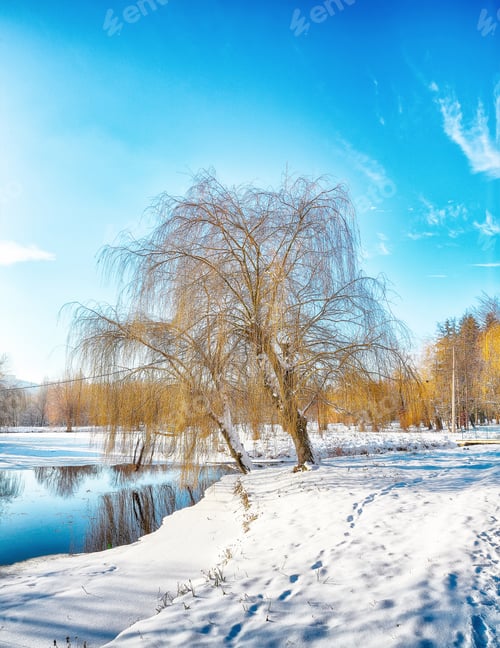 Preview: Stunning landscape with snowy trees, beautiful frozen river with reflection in water.
