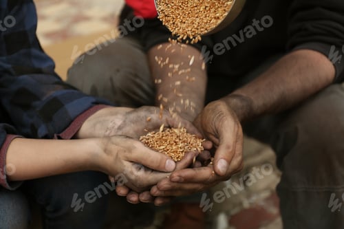 Preview: Poor homeless people taking wheat from donator outdoors, closeup