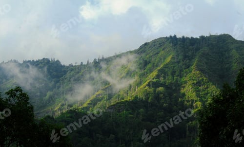Preview: low mist hangs over the steep mountainside on a foggy day