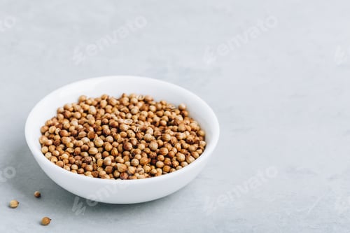 Preview: Coriander whole dry seeds in white bowl on gray stone background