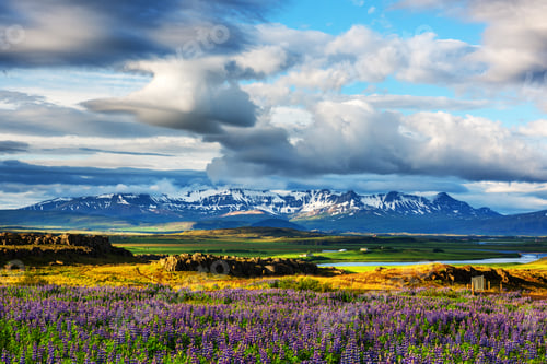 Preview: Iceland