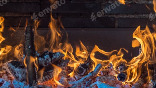 Preview: Fire made with wood from a tree to prepare a barbecue