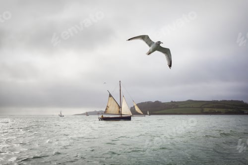 Preview: A traditional sailing boat on the waters of the River Fal in the estuary.