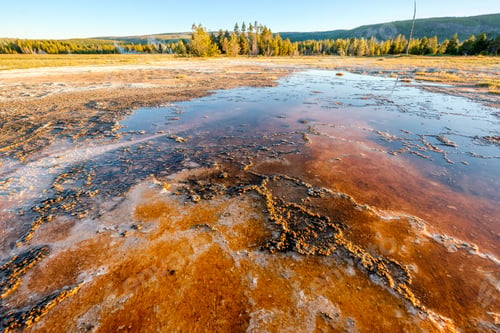 Preview: Hot thermal spring in Yellowstone