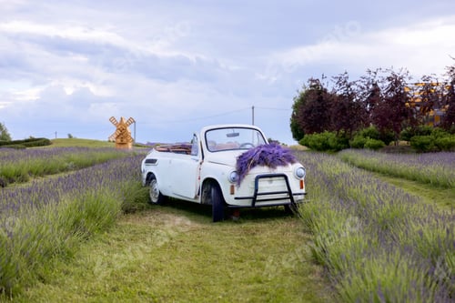 Preview: White Car on Rural Countryside Road Through Green Fields