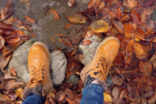 Preview: female feet on stones fallen autumn leaves top view