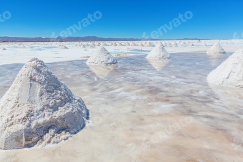 Preview: Salt