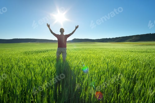 Preview: Man in green meadow and sunshine.