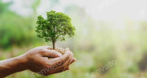 Preview: hand holding big tree growing on green background