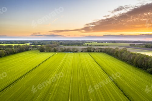 Preview: Aerial view of agricultural meadow landscape
