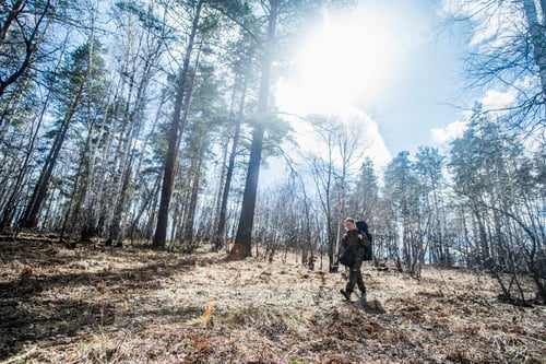 Preview: Young woman hiking in forest
