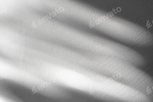 Preview: White Background Studio with Leaves shadow, sunbeam reflection on concrete wall
