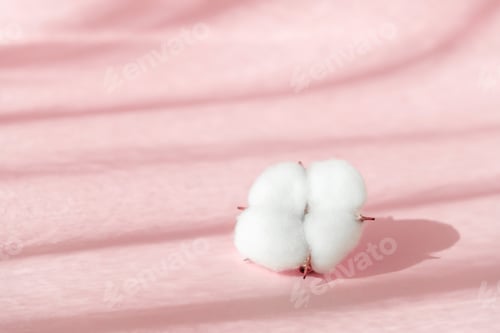 Preview: Cosmetic pink background for product presentation with cotton flower, shadows and light from windows