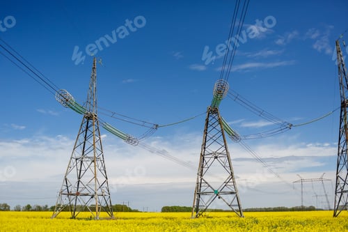 Preview: Power lines and high-voltage lines against the backdrop of blooming oilseed rape on a summer day.