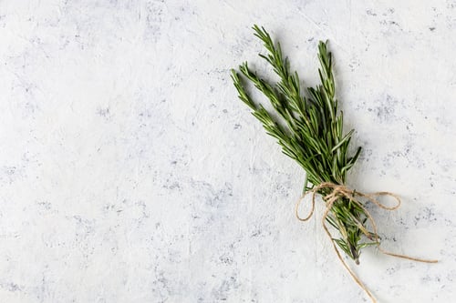 Preview: Bunch of green fresh rosemary on the light white background. Herbs and spices for recipes.