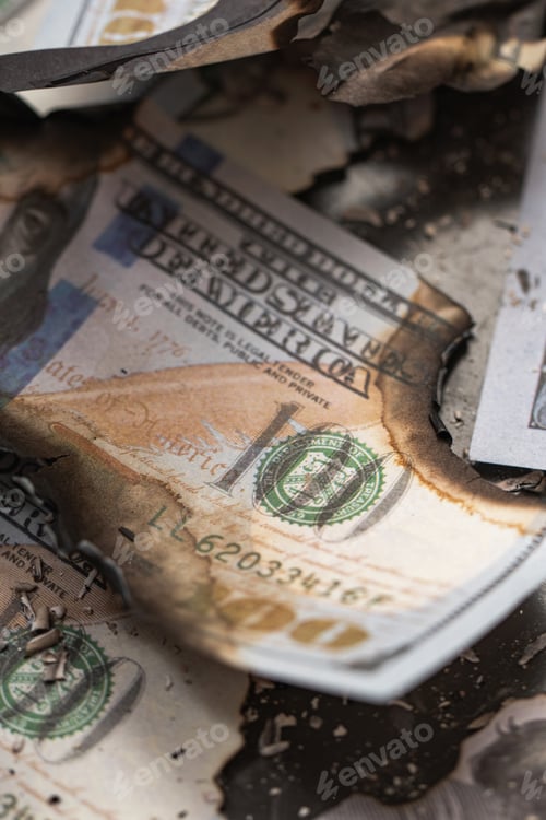 Preview: Remains of burnt one hundred dollar bills reduced to ashes