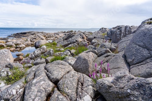 Preview: Beautiful shot of a rocky shore on the Hammerknuden Trail in Bornholm, Denmark