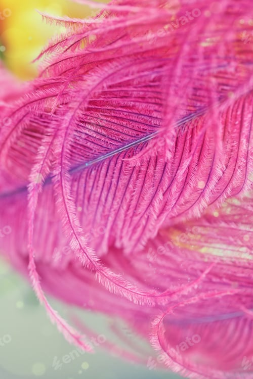 Preview: Beautiful Abstract Background with Purple Feather