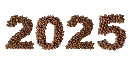 Preview: Calendar 2025 from Dry pet food on a white background. Granules of good nutrition for dogs and cats.