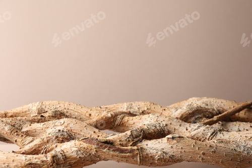 Preview: Presentation for product. Braided tree trunk on beige background. Space for text
