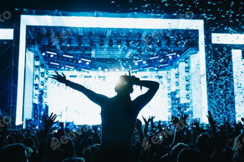 Preview: Silhouette of concert crowd in front of bright stage lights on a music festival