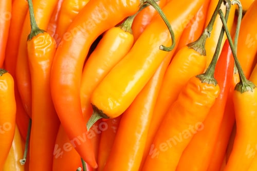 Preview: Ripe yellow chili peppers as background, closeup