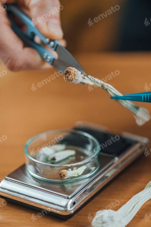 Preview: Micro Dosing Alternative Therapy.