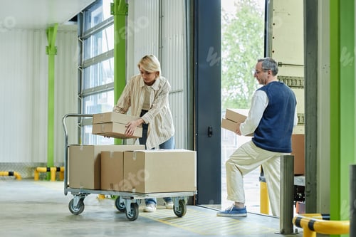 Preview: Middle Aged Caucasian Woman and Man Loading Cardboard Boxes in Warehouse