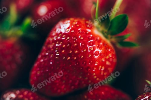 Preview: Fresh Strawberries