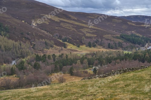 Preview: Scotland Landscape in early spring