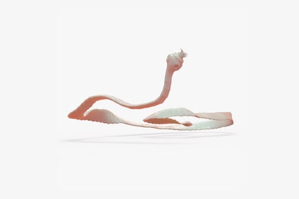 Preview: Cestoda: Parasitic Flatworm