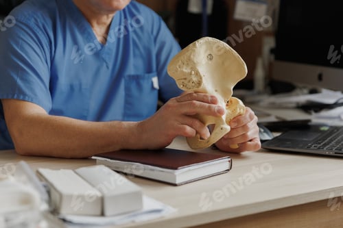Preview: Physician examining human pelvis anatomy model in clinic