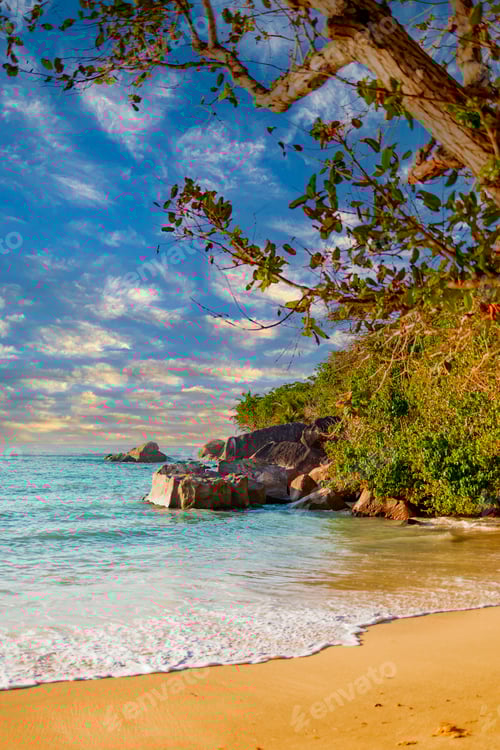 Preview: picturesque bright sunset landscape beach in Seychelles, nature vertical background
