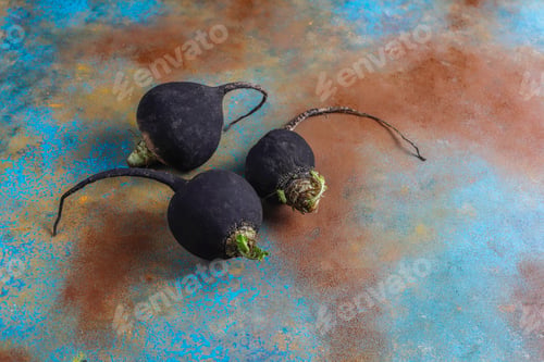 Preview: Various fresh radishes,white radish,long pink radish and black radish.