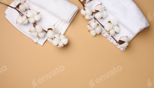Preview: Folded white cotton terry towel and sprigs of cotton flower on a light brown background, top view