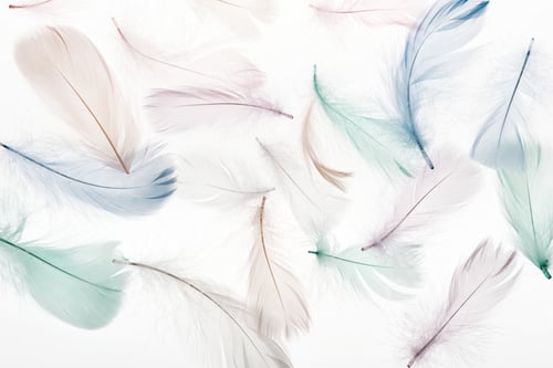 Preview: seamless background with fluffy light beige, green and blue feathers isolated on white