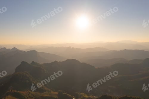 Preview: Forest trees and green mountain hills. Nature landscape background.
