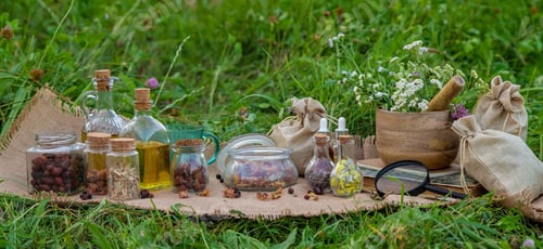 Preview: A woman collects medicinal herbs. Selective focus. Nature.