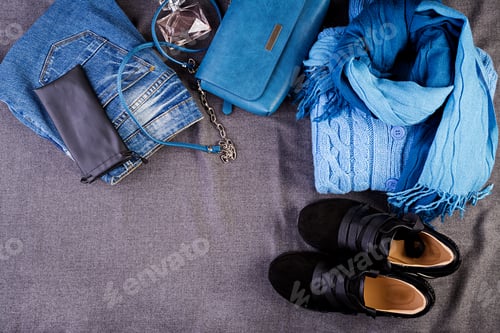 Preview: Womens clothing, accessories, footwear. Fashion outfit. Shopping concept