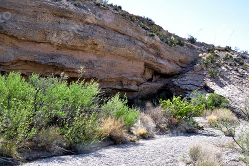 Preview: Rocks and green bushes in Big Bend National Park. Texas, USA