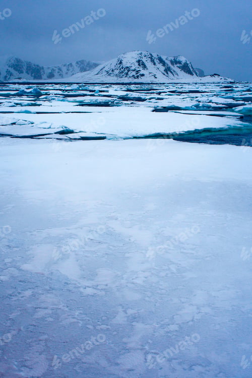 Preview: Drift floating Ice, Albert I Land, Norway